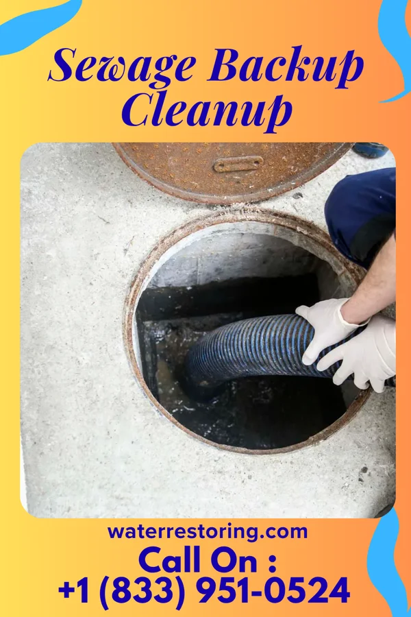 Sewage Backup Cleanup in Crawford, NE